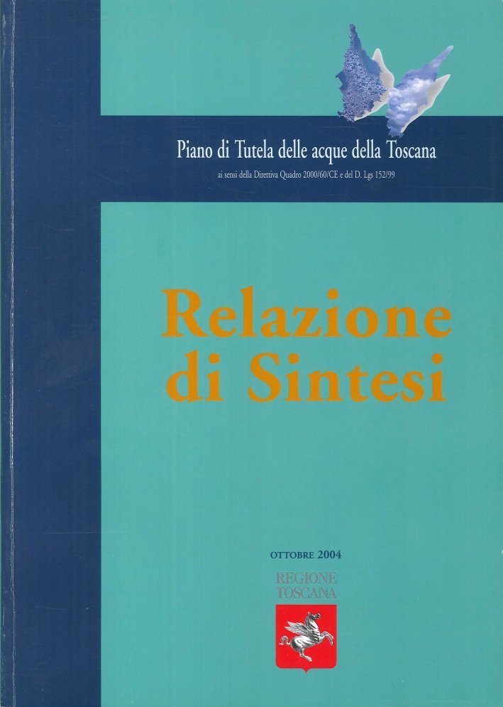 Relazione di Sintesi. [Con DVD]