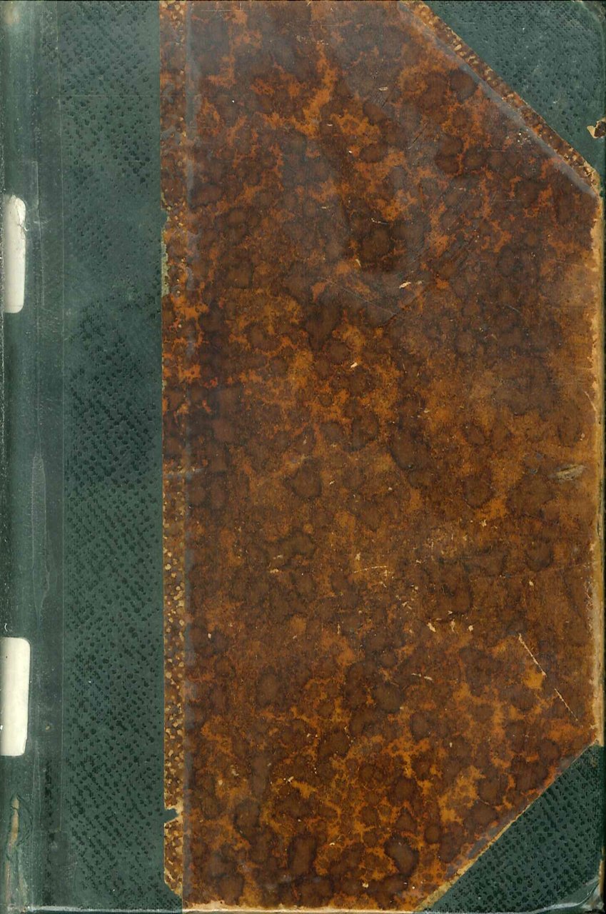 Roberta | Immagine principale