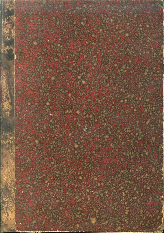 Romanzi. Un Fiore di Lombardia. Storia Domestica del Secolo XIX. Amy Moss o le Rive dell'Ohio. La Signora delle Camelie. il Persecutore di Carlo Bernard. Giornata nella Balena. Ricco e Povero. Processi Celebri di Tutti i Popoli., Milano, Sonzogno, 1874