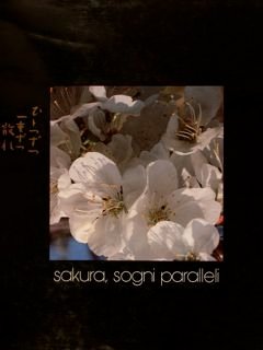 Sakura, sogni paralleli