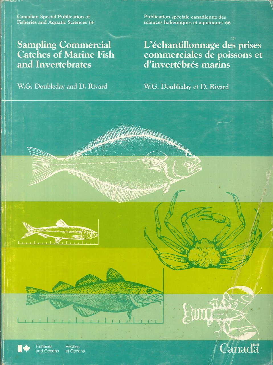 Sampling Commercial Catches of Marine Fish and Invertebrates. L'échantillonnage des … | Immagine principale