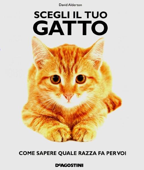 Scegli il tuo gatto. Come sapere quale razza fa per …