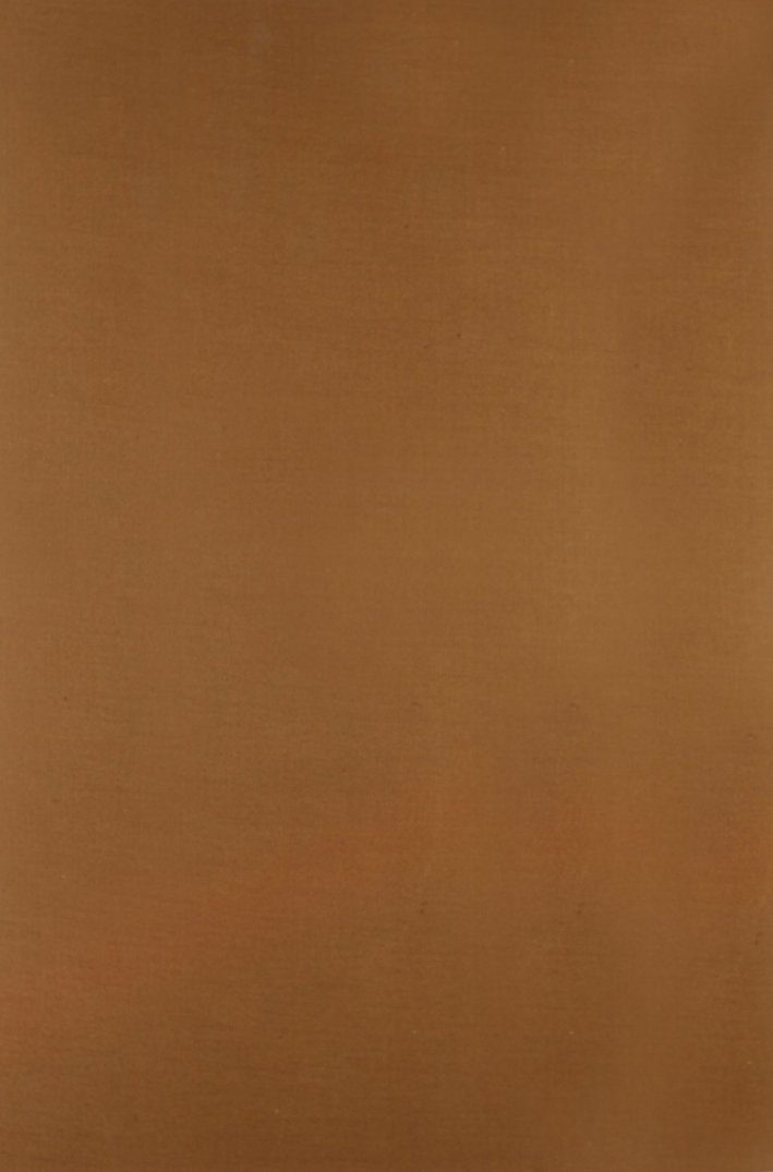 Statuti della università e Studio fiorentino dell'anno 1387 (rist. anast. … | Immagine principale