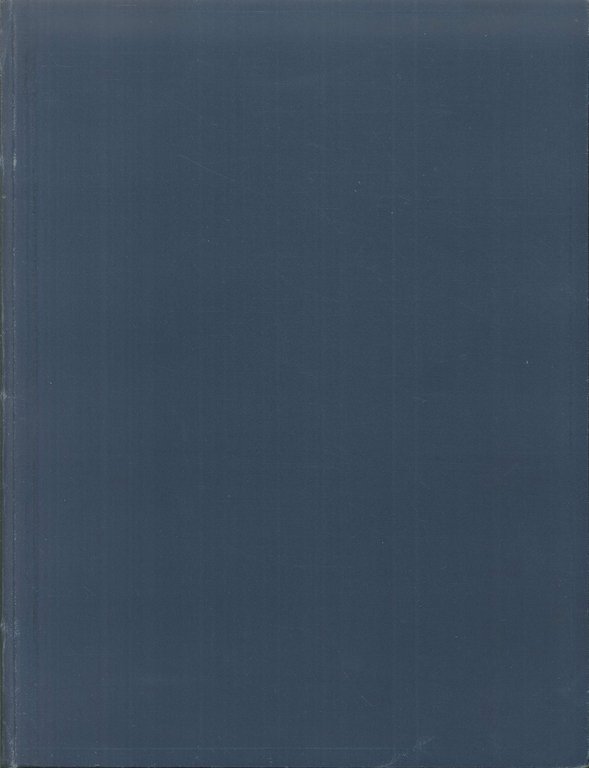 Statuti municipali del Comune di Trieste che portano in fronte …