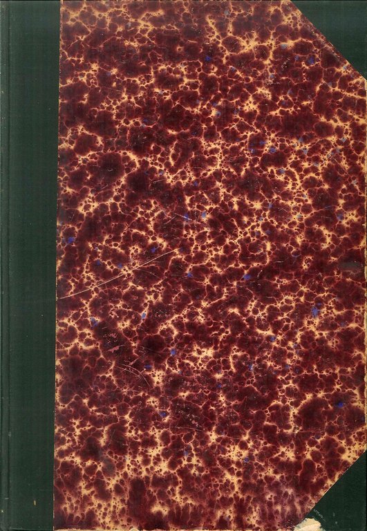 Storia del Consiglio dei Patrizi di Trieste dall'anno MCCCLXXXII all'anno MDCCCIX. Con documenti. Volume unico.