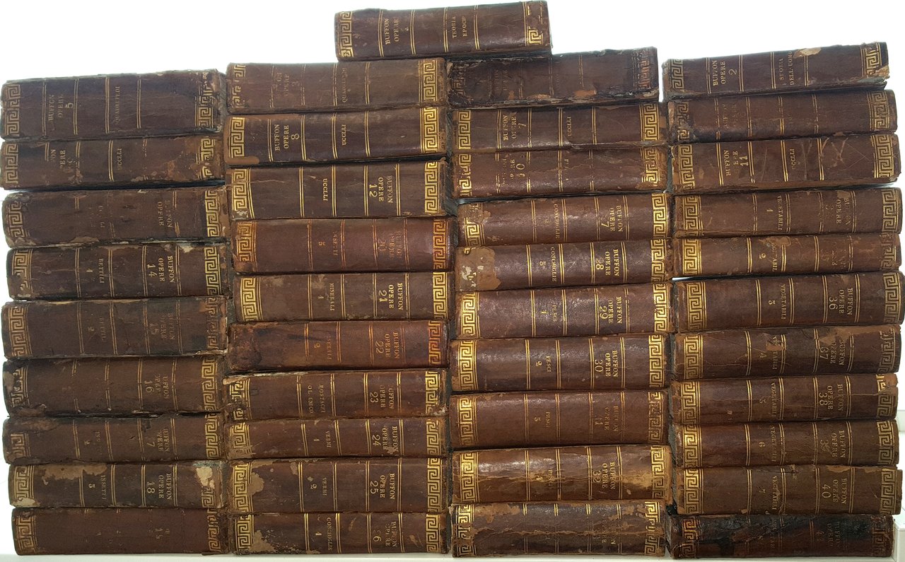 Storia Naturale di Giorgio Luigi Leclerc Conte di Buffon classificata …