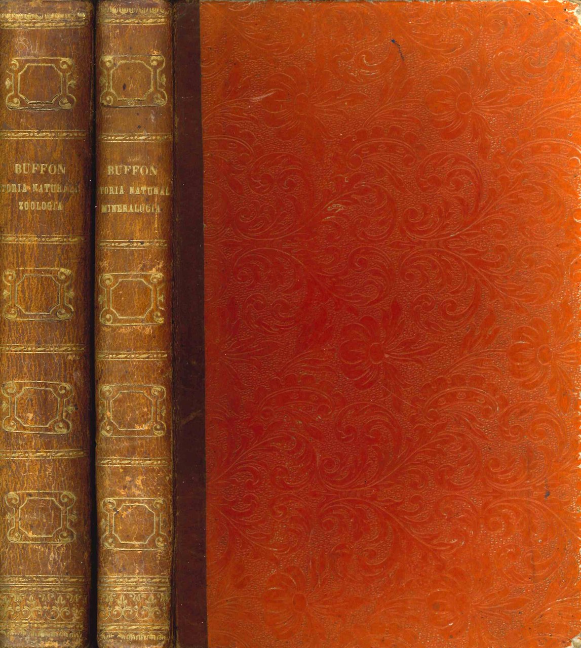 Storia naturale. Il moderno buffon. Zoologia-botanica-mineralogia. | Immagine principale