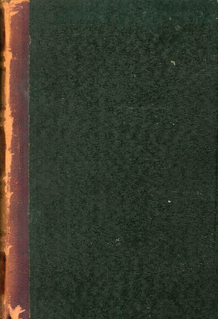 Storia Politica dei Municipi Italiani | Immagine principale