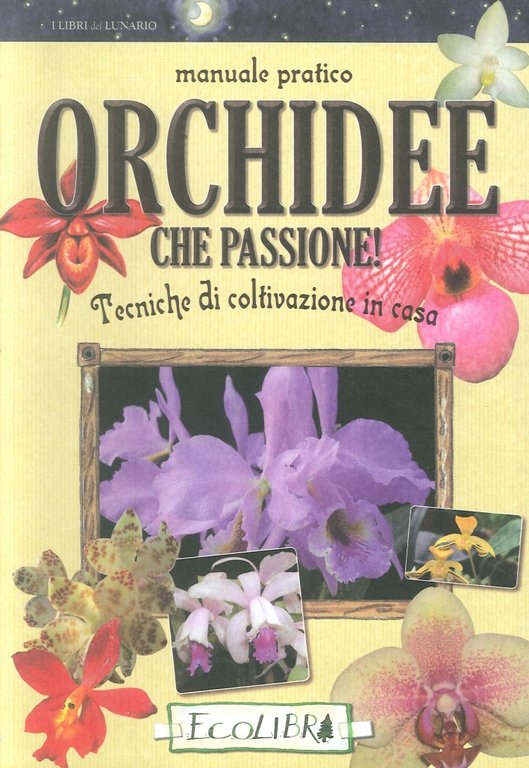 Tecniche di coltivazione in casa. Orchidee che passione