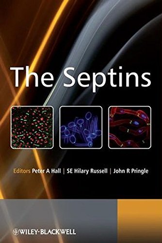 The Septins | Immagine principale