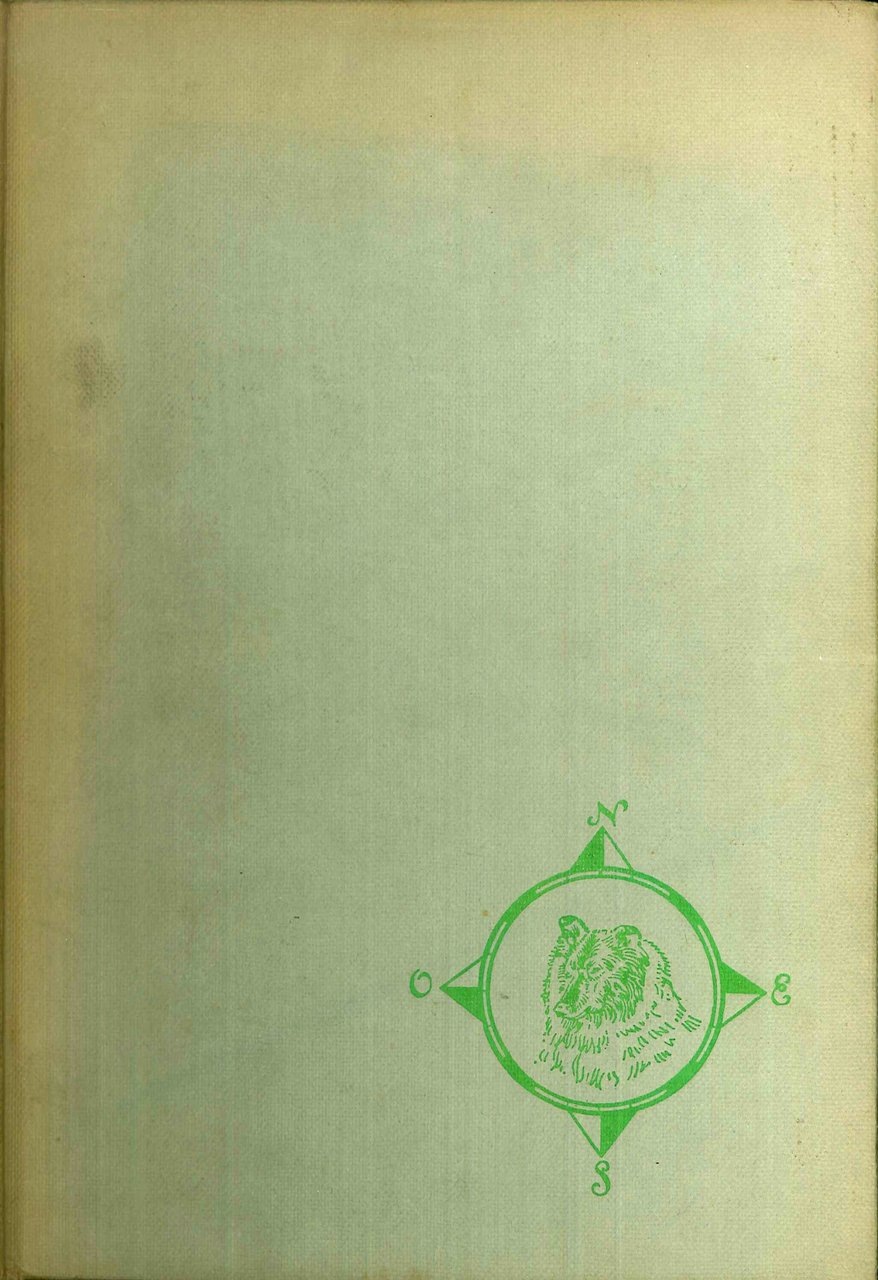 Torna a casa Lassie!