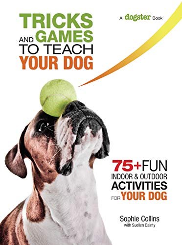 Tricks and Games to Teach Your Dog: 75+ Fun Indoor … | Immagine principale