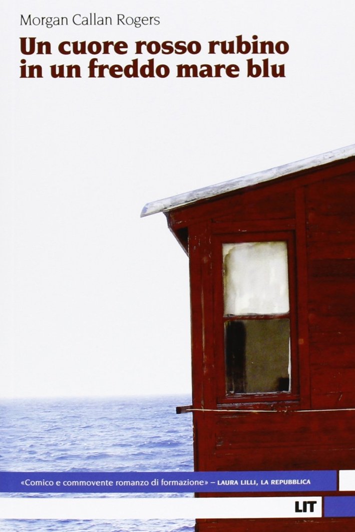 Un cuore rosso rubino in un freddo mare blu | Immagine principale