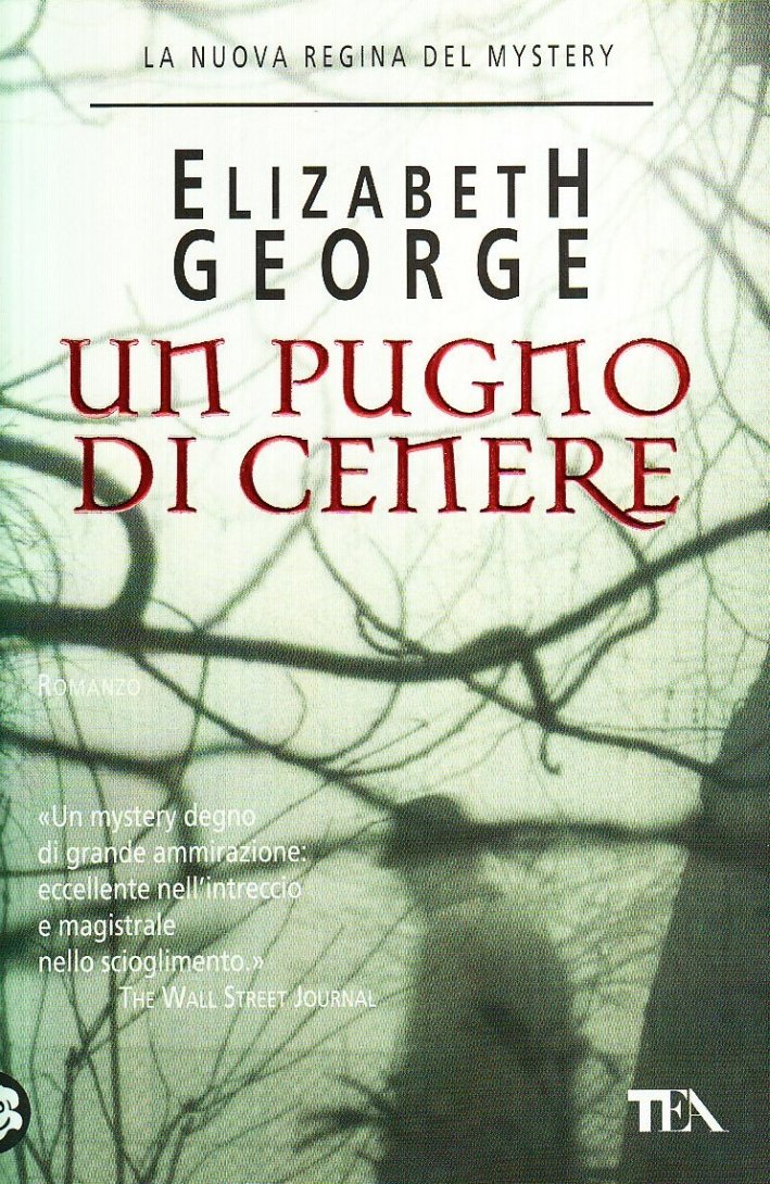 Un pugno di cenere