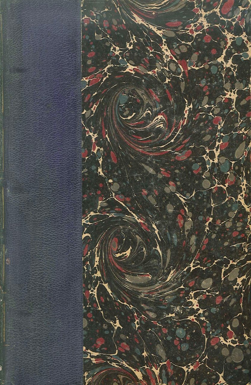 Une vie tragique | Immagine principale