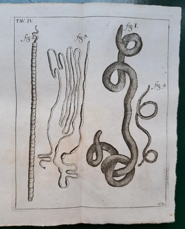 Opere. Seconda edizione napoletana corretta e migliorata | Immagine Gallery 3