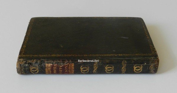 Amori di Saffo e Faone, Odi | Immagine Gallery 6