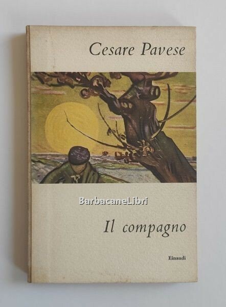 Il compagno