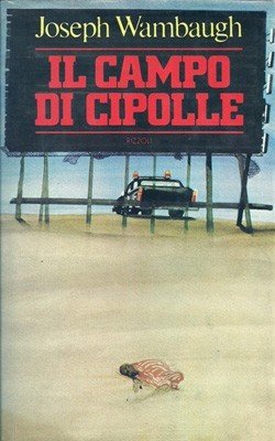 Il campo di cipolle