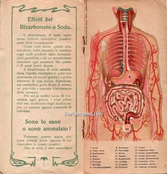 Disturbi dello stomaco e dell'apparato digerente. Con tavola anatomica mobile …