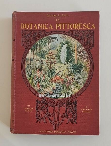 La botanica pittoresca. Esposizione biologica e sistematica del regno vegetale