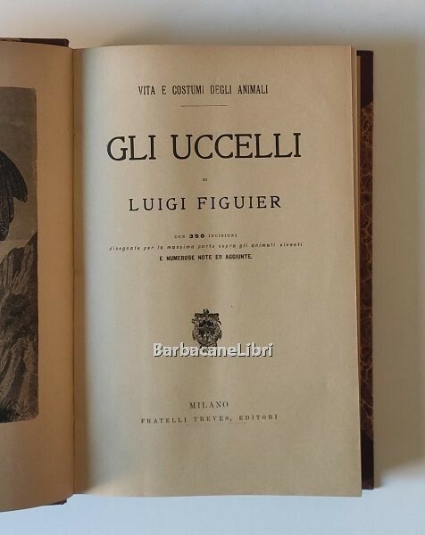 Vita e costumi degli animali. Gli uccelli