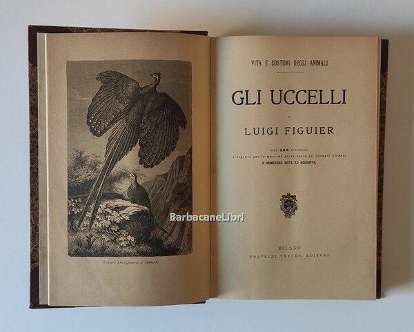 Vita e costumi degli animali. Gli uccelli