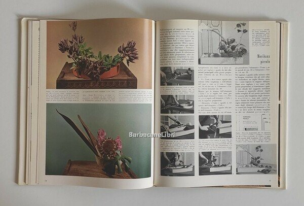 Lezioni di ikebana. Corso breve e completo sull'arte delle composizioni …