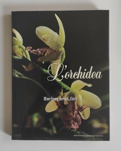 L'orchidea