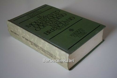 Il movimento operaio e contadino nel bresciano (1878-1903)