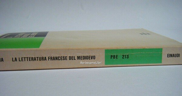 La letteratura francese del Medioevo