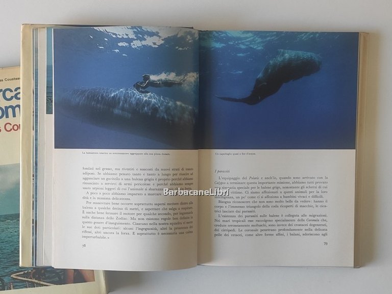 Le esplorazioni sottomarine di Jacques Yves Cousteau (7 voll.)