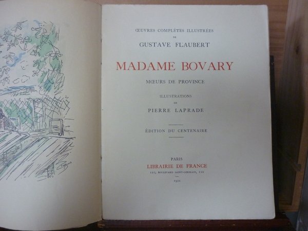 Madame Bovary, moeurs de province