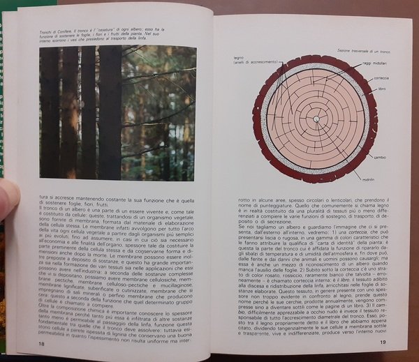 Lanzara, Pizzetti, Alberi – Bianchini et al., Acquario