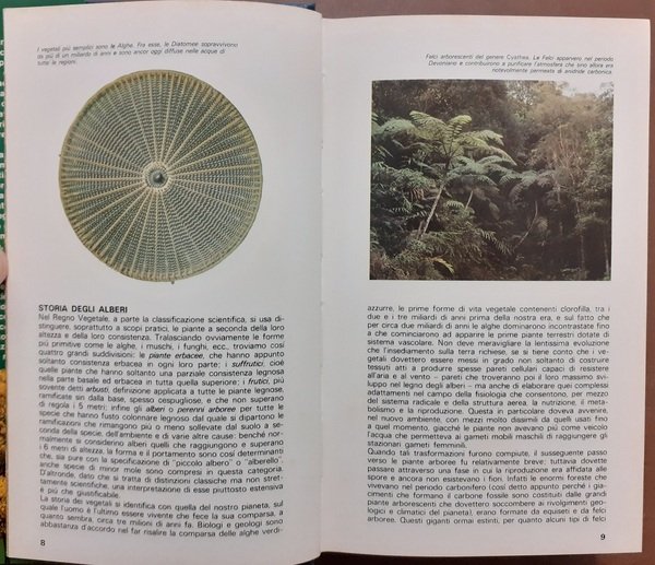 Lanzara, Pizzetti, Alberi – Bianchini et al., Acquario