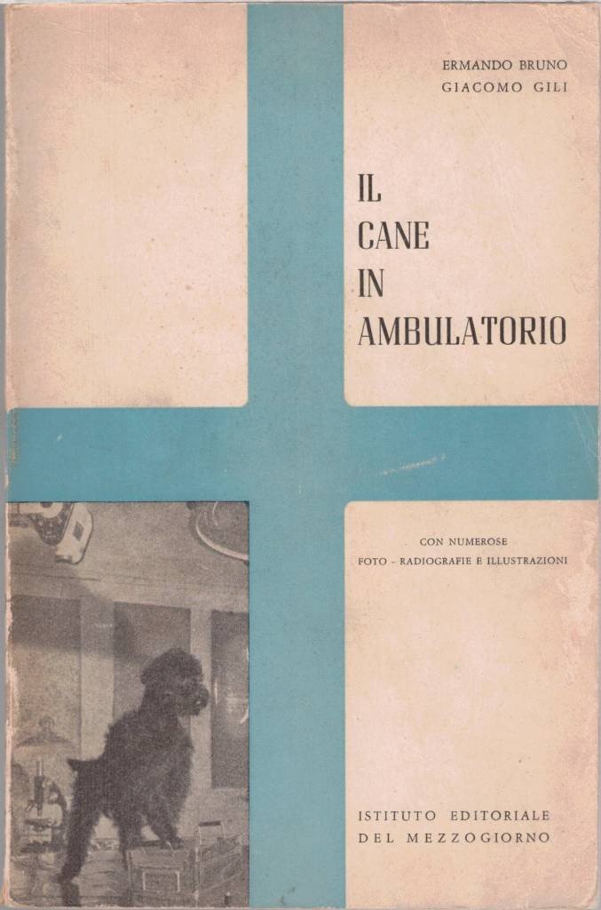 Bruno, Gili, Il cane in ambulatorio