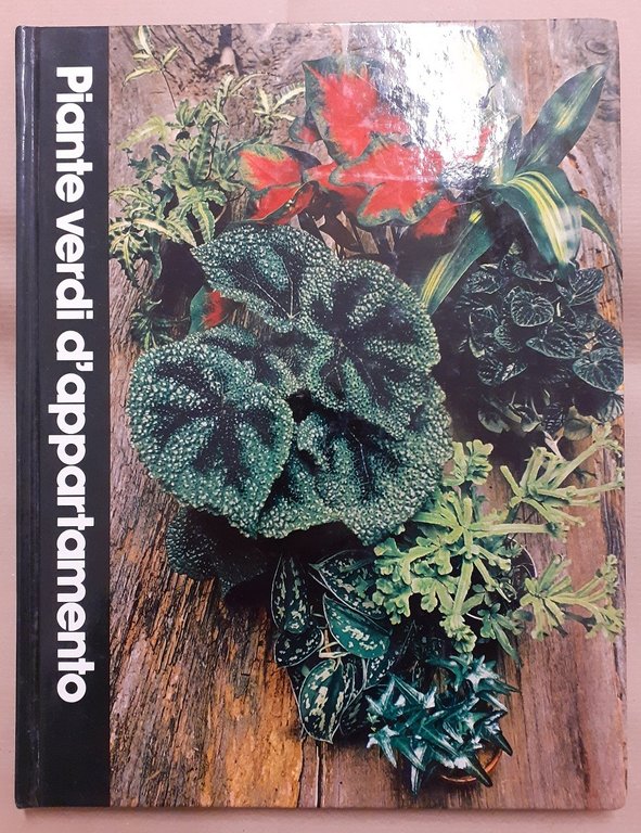 Crocket, Piante fiorite d’appartamento – Piante verdi d’appartamento