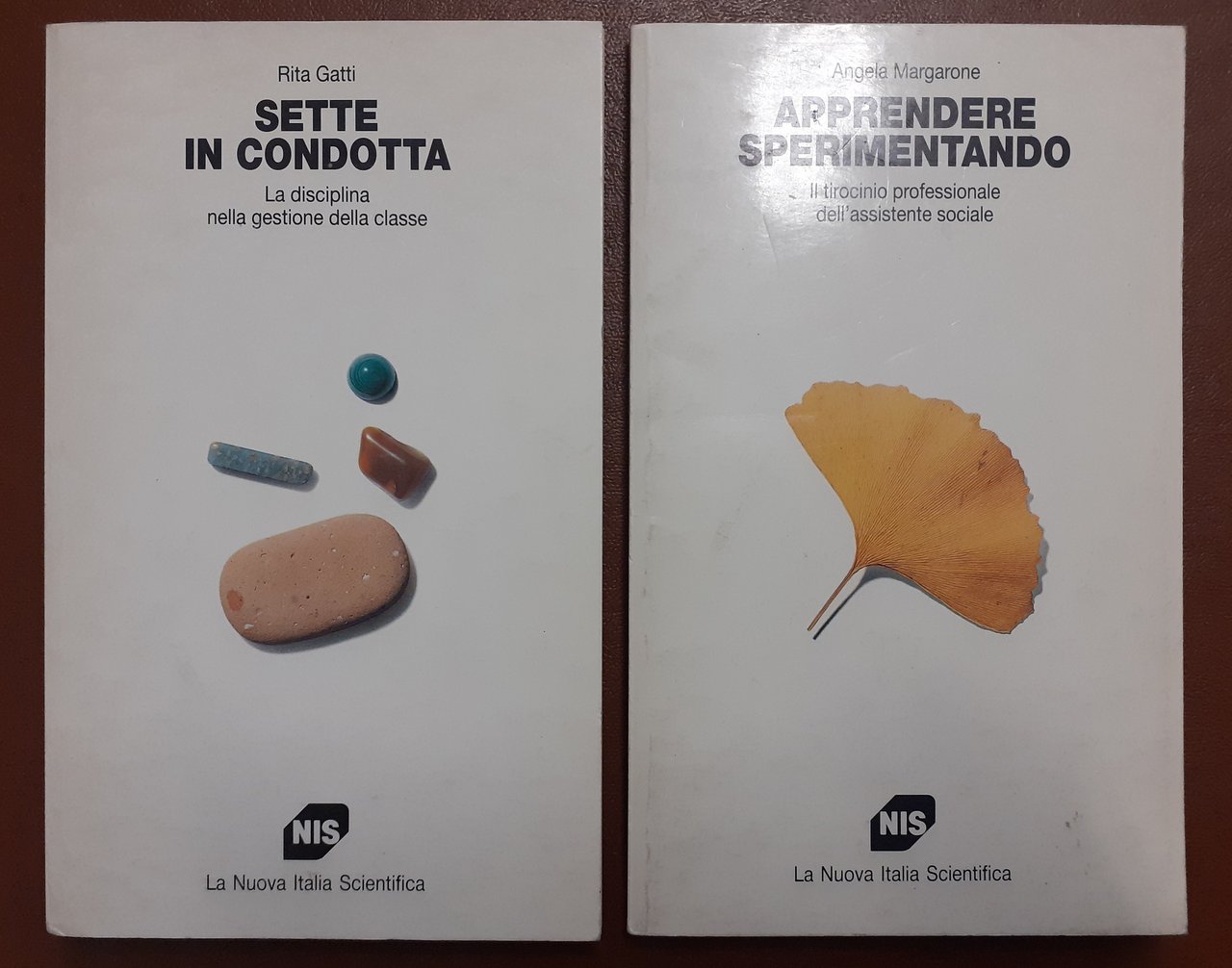 Gatti, Sette in condotta – Margarone, Apprendere sperimentando