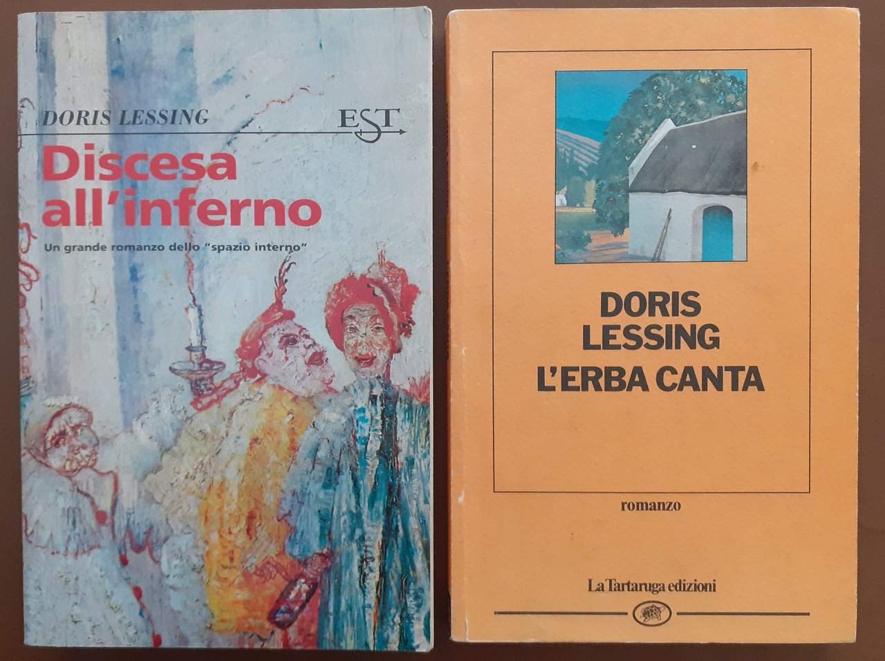 Lessing, L’erba canta – Discesa all’inferno