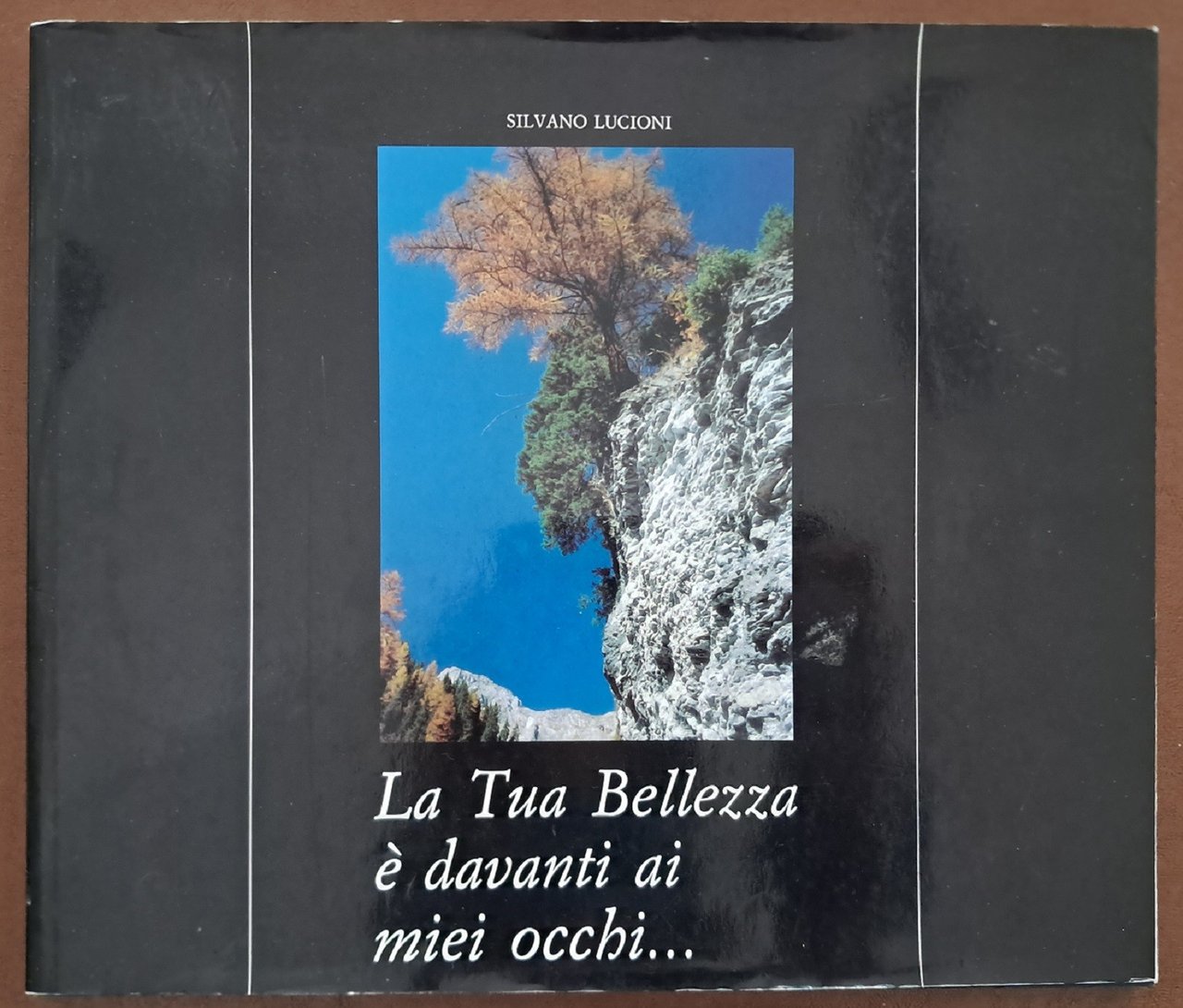Lucioni, La tua bellezza è davanti ai miei occhi…