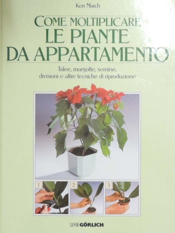 March, Come moltiplicare le piante da appartamento