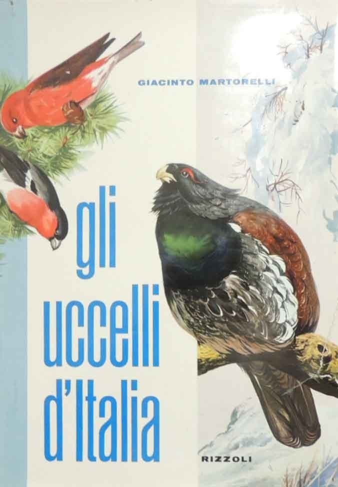 Martorelli, Gli uccelli d’Italia