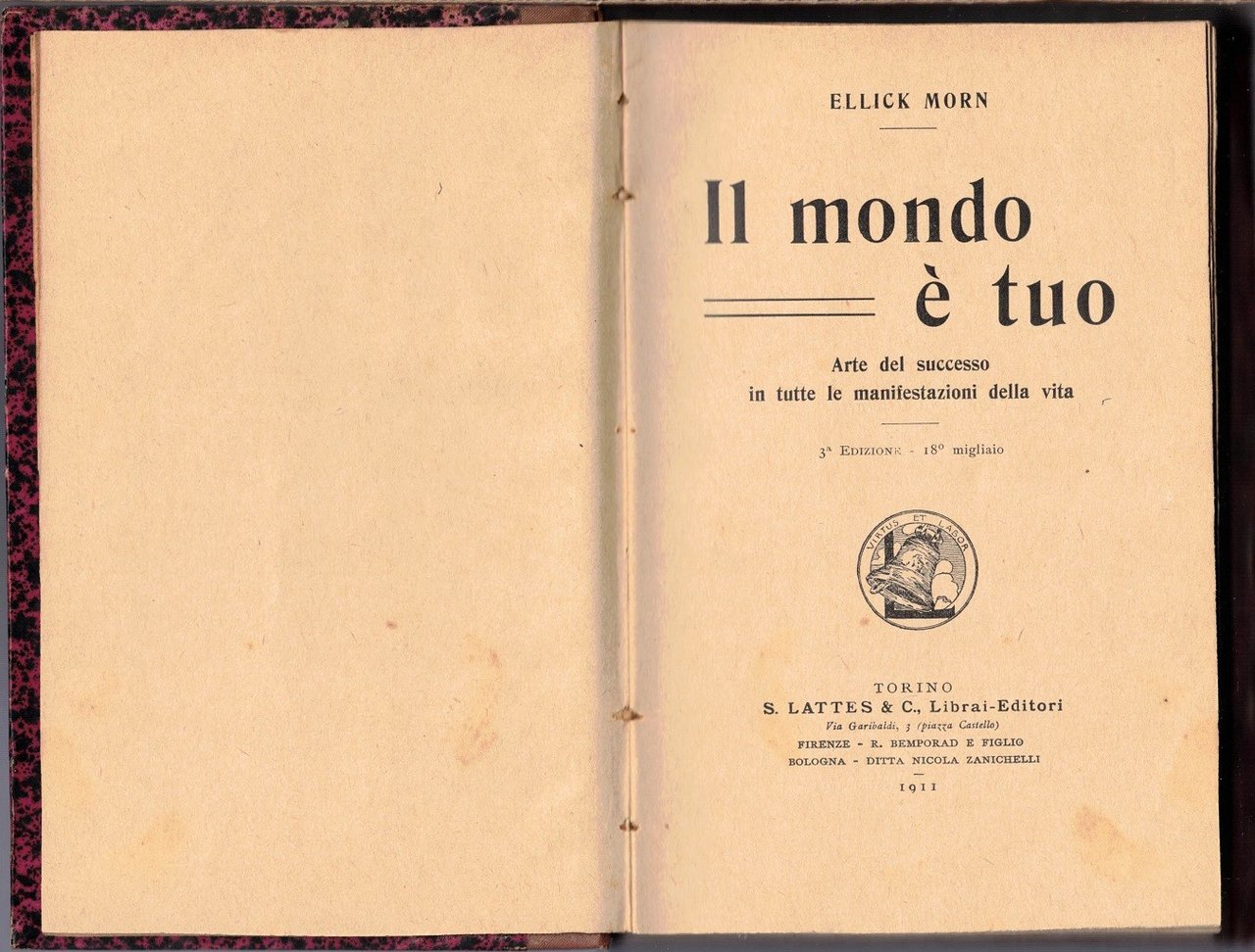 Morn, Il mondo e tuo. Arte del successo in tutte …