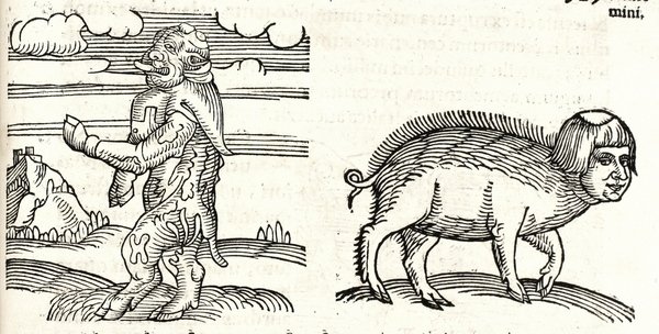 Prodigiorum ac ostentorum chronicon.