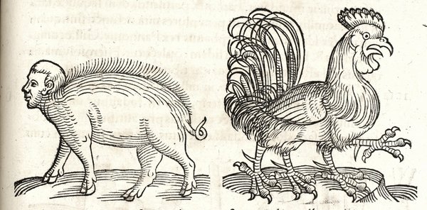 Prodigiorum ac ostentorum chronicon.