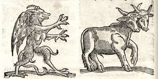 Prodigiorum ac ostentorum chronicon.