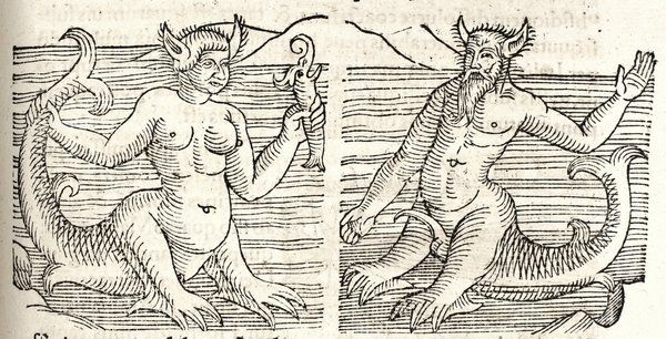 Prodigiorum ac ostentorum chronicon.