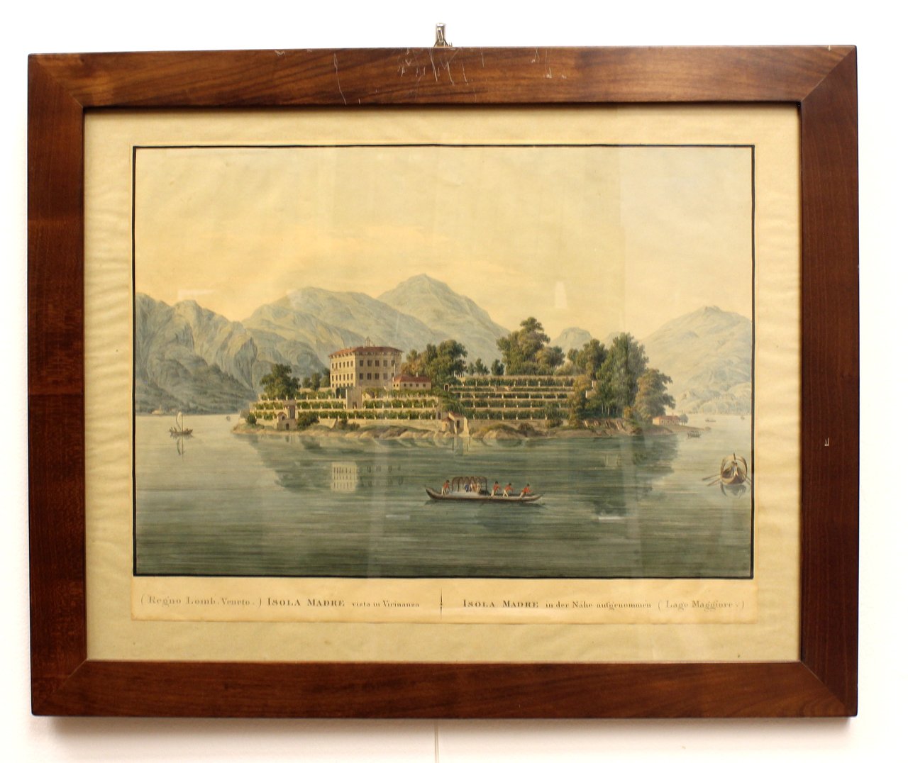 (ARTARIA FERDINANDO). Isola Madre vista in Vicinanza - Isola Madre … | Immagine principale