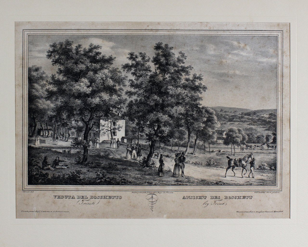 BROILI GIUSEPPE - CECCHINI GIOVANNI BATTISTA. Veduta del Boschetto / …