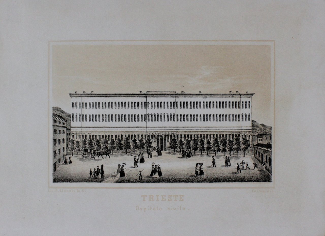 FALTUS FRANCESCO DE. Trieste. Ospitale civile. - Trieste, Litografia Linassi, …